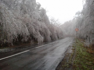 Az erdészek segítenek az utak megtisztításában