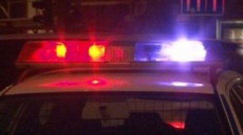 Visszaélt a tulajdonos adataival a krokodilos bérlő