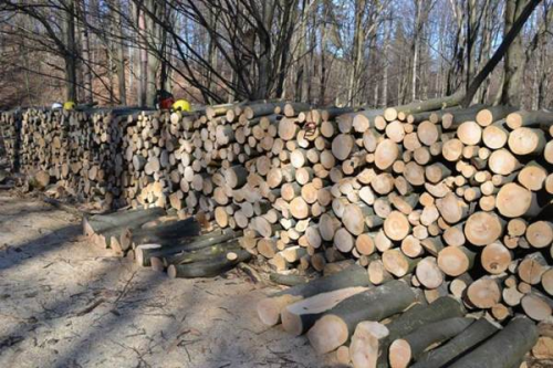 Önkormányzati államtitkár: 180 ezer háztartásnak nyújt segítséget a szociális tűzifaprogram